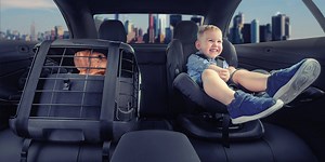 Caree Dog & Cat Travel Box for Any Car Seat