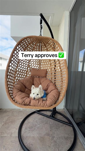 #doglover #puppy #westie