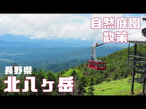 【美しい庭園】長野県 北八ヶ岳 北八ヶ岳ロープウェイ 坪庭 自然園