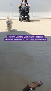 107 reactions · 12 shares | Learn how to adapt your training classes...