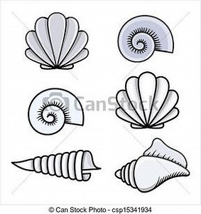 What is a shell simple? [2025] | QAQooking.wiki