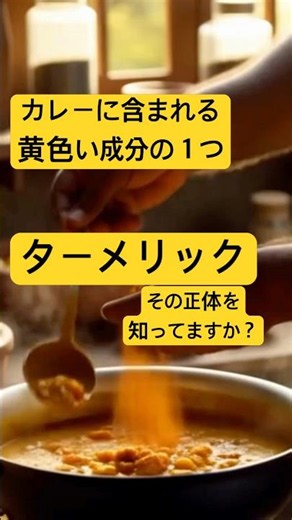 【健康雑学】カレーの黄色、実は注目される健康成分だった？ #健康 #雑学