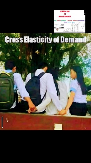 Cross elasticity of demand measures how a change in the price of one good affects the quantity demanded of another related good. #economicscom02 #followersreelsfypシ゚viralシfypシ゚viralシ #basicsofmicroeconomics #EconomicsExplained #elasticity #Demand | Economics. Com 0.2