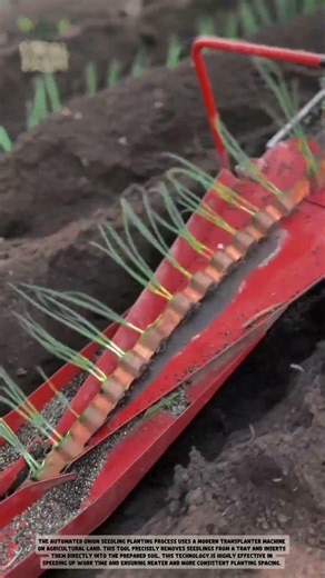 Revolutionizing Agriculture: Planting Seedlings in Seconds!