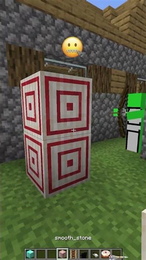 Stop Time Mod vs Village Helping Test Emoji Reaction #shorts #meme #minecraft