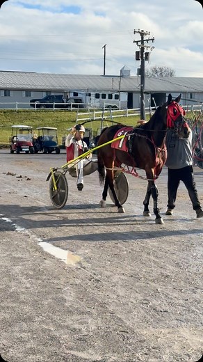 It’s time for Live Racing today! Post time 12:45pm. Get your Free Past Performances at meadowsharnessracing.com! | Meadows Standardbred Owners Association