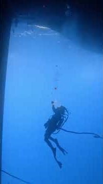 Commercial Diving / Deepsea / #commercialdiving #marineservices #diving