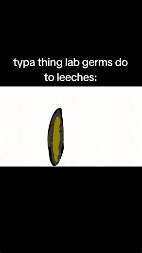 #leech #usa #fypシ゚viral | lab germ