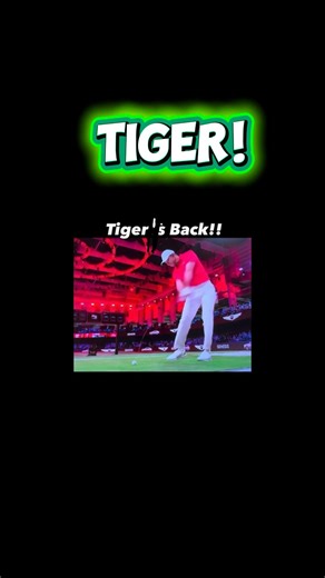 Tiger’s back!