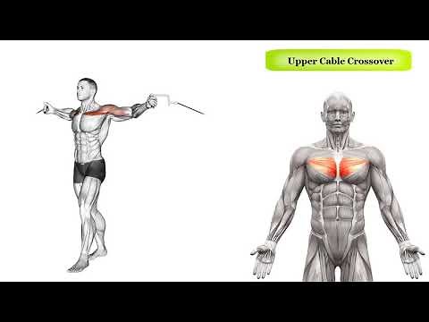 Cable Crossover - Variations and Muscles Worked