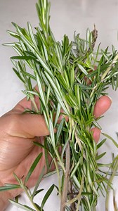 328K views · 7.8K reactions | Agua magica de Romero | Beauty Tips by Karla | Facebook