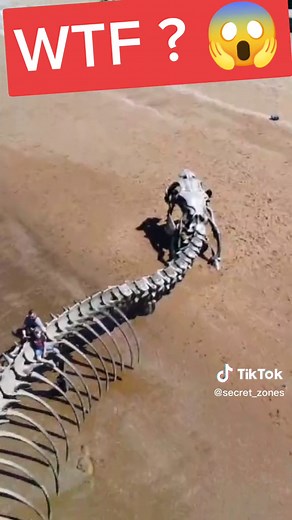 Giant Snake Skeleton: Unveiling Google Earth Secrets