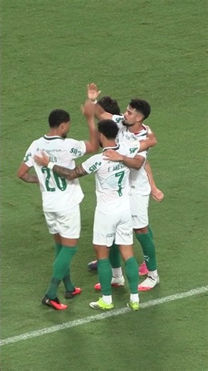 OS 2 GOLS DO VERDÃO NA CLASSIFICAÇÃO