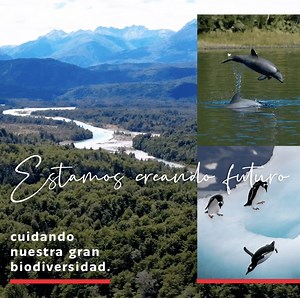 93 reactions · 12 shares | Mira nuestra madre naturaleza , tenemos mucho que aprender y proteger. En Chile buscamos conservar nuestro gran ecosistema mediante zonas protegidas, parques, reservas y más. Conoce todos los aportes de nuestro país para crear un futuro mejor aquí marcachile.cl/creating-future/?cat=ciencia-y-conocimiento #ChileCreatingFuture | Marca Chile | Facebook