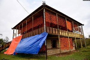 563K views · 11K reactions |  ოქტომბრის ბოლოდან მარტვილის სოფლები...