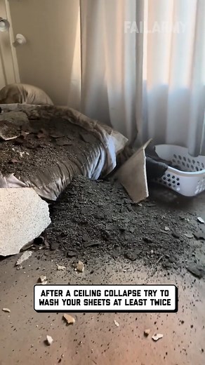 297K views · 295 reactions | This is your reminder to get renter's insurance  #landlord #rent #fail | FailArmy | Facebook