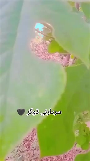 Monetizing Your Account: Tips for Growth on June 20