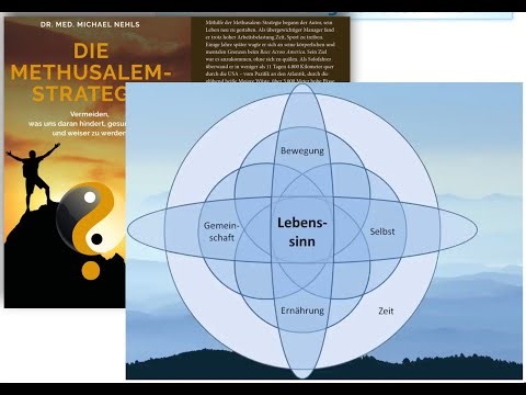 Bedeutung von Fight Flight Freeze sowie die Verbesserung der Gesundheit durch Methusalemstrategie