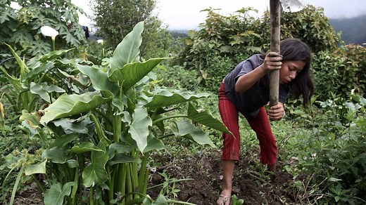 Kinderrechte: Kinderarbeit - bitterer Alltag in Bolivien