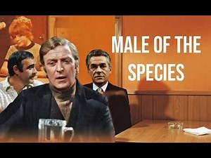 Male of the Species (1): MacNeil - starring Sean Connery & Anna Calder-Marshall (1969)