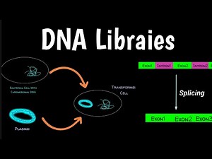 DNA Libraies | Genomic & cDNA Library | Gene Library | Types of DNA Libraries |