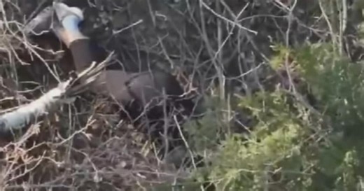 Michigan woman found by drone cameras after she was lost in woods for three days