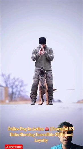 Police Dog in Action 🚨 | Powerful K9 Units Showing Incredible Skills and Loyalty #malinois #dog