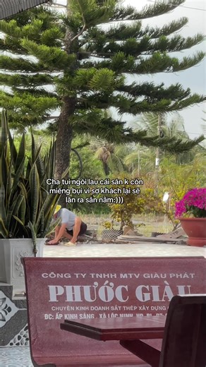 Tết 2026 🧧 #xuhuong #tet2026 | trend tết