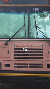 981K views · 35K reactions | Building a BUS into a HOME one weekend at a time #busconversion #schoolbusconversion #busbuild #buslife #skoolielife #skooliebuild #skoolie #skoolieconversion #tinyhouse #tinyhome #homeiswhereyouparkit #tinyhouseonwheels #tinyhomeonwheels | Us Plus a Bus | Facebook