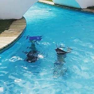 Sereias #usolete 💙💦🐚🌴 | L'été Moda Praia Infantil