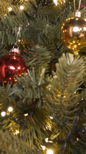 5K views · 13 reactions | Eine ganze Weihnachtswoche in Kitzbühel steht auf dem Programm und den Start macht Alexander mit seiner "Melkalm". Umgeben von einem einzigartigen Bergpanorama bekommen heute Mike Süsser und die vier Gastronomen ein Tiroler Weihnachtsmenü kredenzt  #MeinLokalDeinLokal  „Mein Lokal, Dein Lokal“ - Montag bis Freitag, 17:55 Uhr und kostenlos streamen auf Joyn ProSieben | Kabel Eins | Facebook