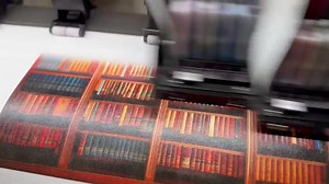 3D Underwater Wall Mural, Colorful Coral Reef Wallpaper, Marine Life Ocean Scene with Fish & Dolphins, Tropical Sea Accent for Living Room