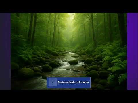 Musique de Méditation