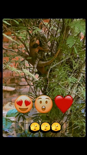 77K views · 212 reactions | # Ready to build the foundation of your...