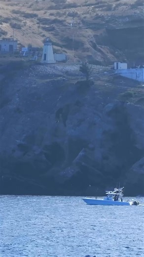 Local Knowledge S10:E7 “The Bluefin Backup Plan aboard “Killer Bee”. Available Now on YouTube, Waypoint TV & Streaming apps | Local Knowledge