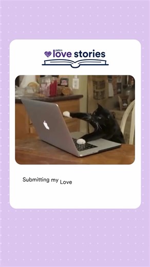The clock is ticking and the cats are judging… 😼 Don’t miss out! Submit your #PetcoLoveStory by 11:59pm CST tonight: petcolove.org/lovestories ⬅️ | Petco Love