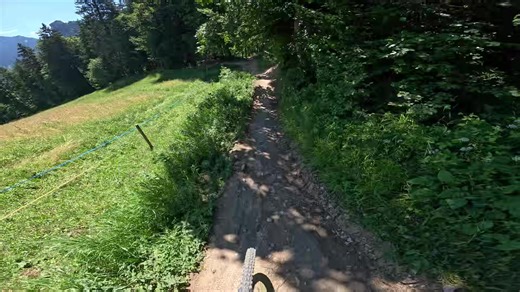 Benno.sill on TikTok