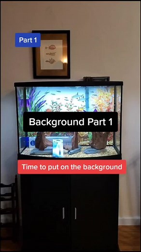 DIY Aquarium Background Tutorial and Installation Tips
