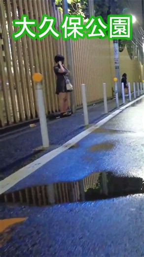 大久保公園の魅力を発見！最近の様子・夜の新宿歌舞伎町・散歩動画 Explore Tokyo Nightlife in Japan Shinjuku Kabukicho #shorts #散歩