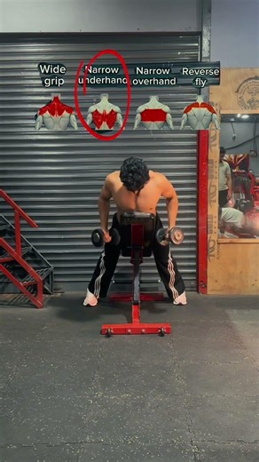 Full Back Workout With Dumbbells