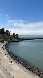 Ah, the San Francisco summer. Have you ever visited San Francisco during the summer months and been surprised by how foggy, cold, and windy it is? This summer experience is thanks to several environmental factors working in tandem. Constant ocean currents bring cool water from Alaska down the California coast. Combined with seasonal upwelling, when cold water from the deep is brought up to the ocean’s surface, this creates a cool ocean surface in the summer months. The air moving over the ocean 