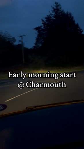 Early bird and all that jazz 👐🏻 #fossils #coprolite #poo #ichthyosaur #bone #charmouth #driving #vw | UK Fossils
