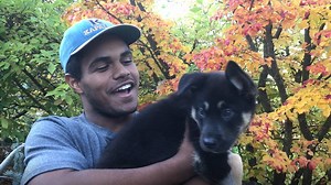 This Wednesday, November 1, is Seattle Pacific's early application deadline. spu.edu/apply You'll receive your admission decision by December, and if you submit your FAFSA too, we'll send your financial aid offer by December, as well. See why Oso, Lobo, and Lucy (whose humans either attend or work at SPU) hope you'll apply by midnight on Wednesday. | Seattle Pacific University