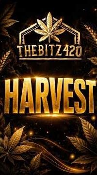 When Is It Time to Harvest?