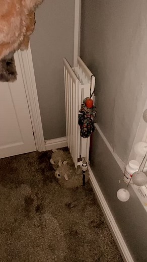 Box room tour part 1 🤣 #Bossit2021 #foryoupage #smallbedroom #smallbedroomidea #cute #home #uk #lockdown