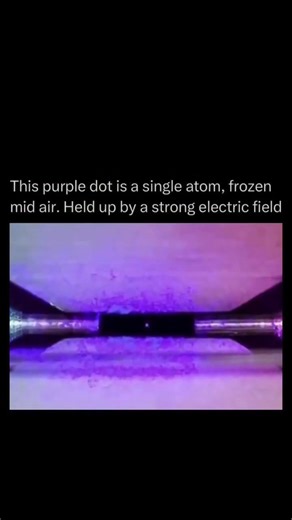 A Single Atom Trapped in Mid-Air ✨