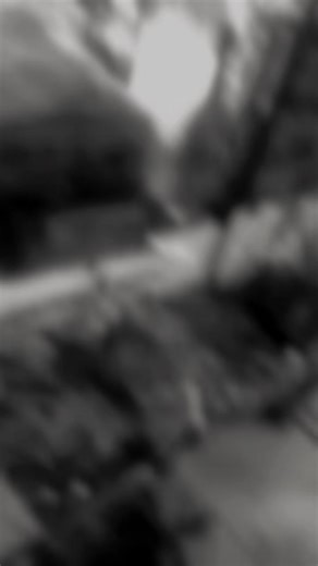 Miss Akua Faustina (@miss.akua.faustina)’s videos with original sound - Abigail’s lyric garden🌹