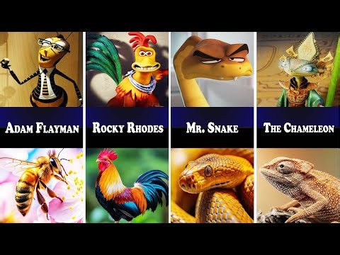 DreamWorks Animals in Real Life