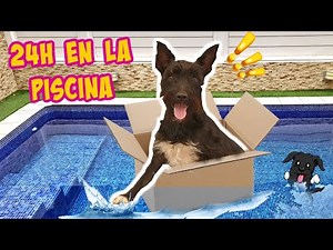 24 HORAS EN LA PISCINA / Lana