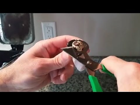How to crack quail eggs